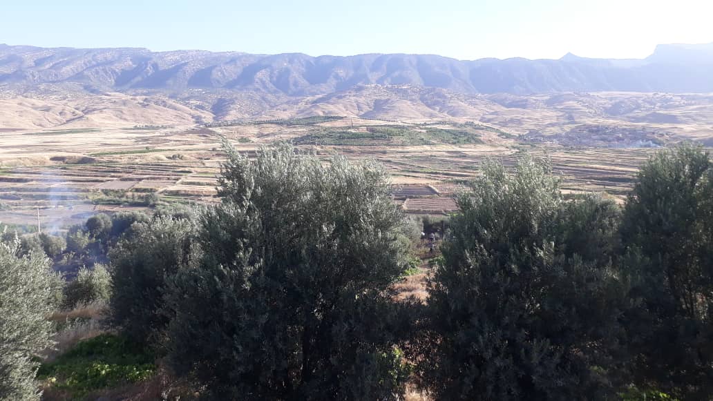 پشتیبانی عملیاتی هلال احمر در اطفای حریق باغات روستای ورگچ
